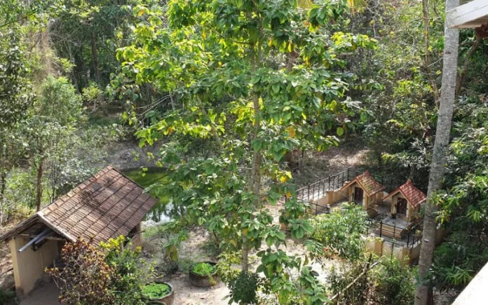 A one-woman forest GOING GREEN