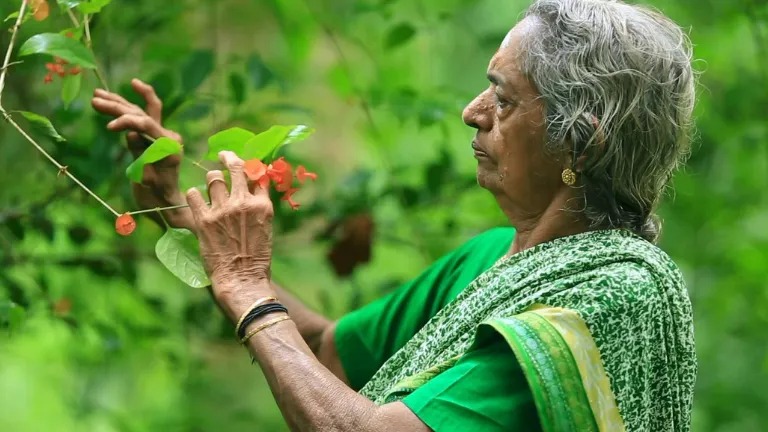A one-woman forest: GOING GREEN